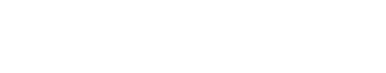 Leveric